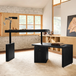 Veritas 360-Degree Rotating Desk Electric Adjustable Standing Desk