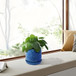 Ceramic Flowerpot, 7" Planter For Patio, Garden, Windowsill (Set of 2) - Antique Navy Blue