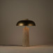 Arcadia - Iron Shade Table Lamp