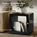 Quilla 24 in. Black Rectangle Wood End Table with 1 Drawer