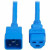 Eaton Tripp Lite Series Power Cord, C20 to C21 - Heavy-Duty, 20A, 250V, 12 AWG, 4 ft. (1.2 m), Blue - For Network Switch, PDU, UPS, Switch, Server, Network Device, Rack, Blade Server, Router - 12 Gaug