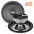 PRV Audio 8MR450A 8" Midrange Loudspeaker - 8 Ohms (Sold Individually)