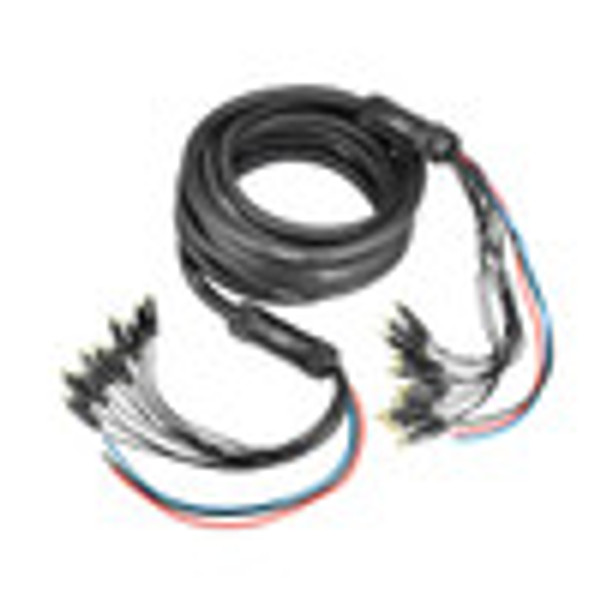 PRV Audio SNAKE 10RCA30 Medusa Cable with Power Wire - 30ft