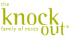 Knock Out Roses