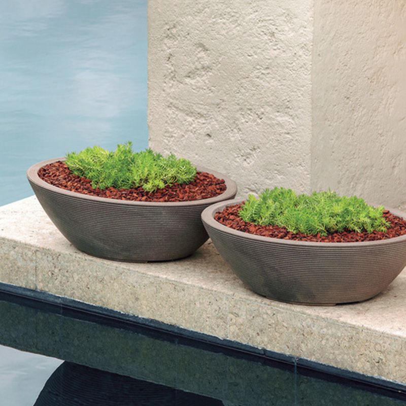 Delano Oval Bowl Planter - Crescent Garden | Plant Addicts