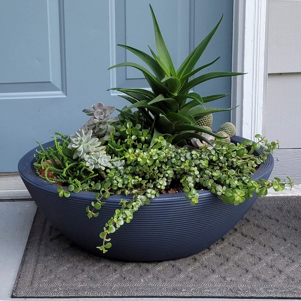 Delano Oval Bowl Planter - Crescent Garden | Plant Addicts