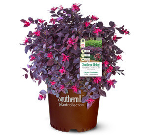 planter grow bags Grow Bags main image 0
