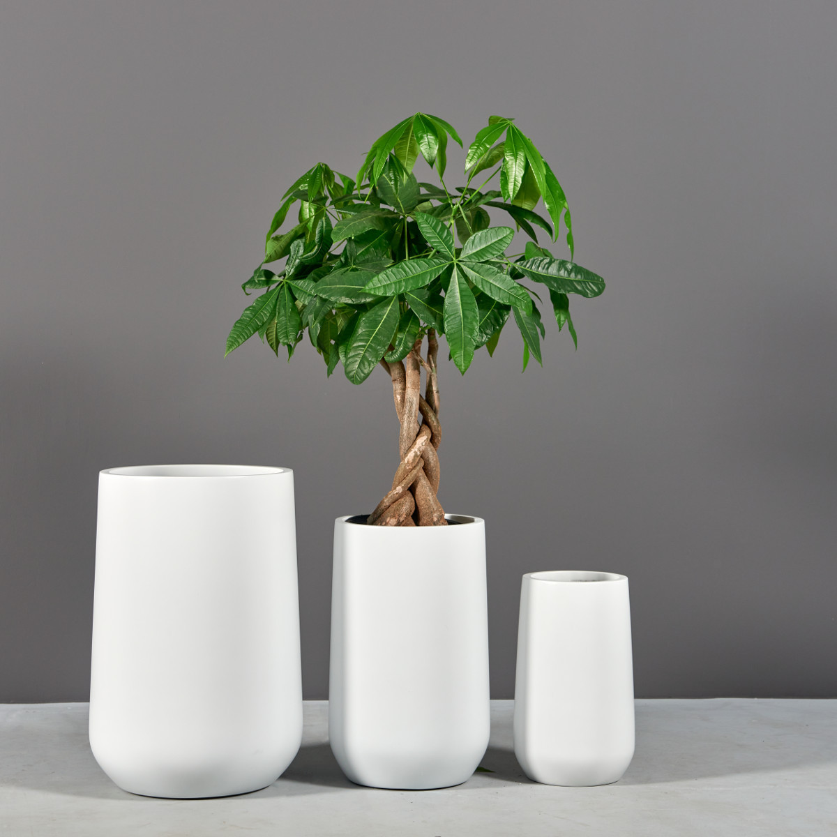 Hayden Tapered Round Planters - Jay Scotts | Plant Addicts