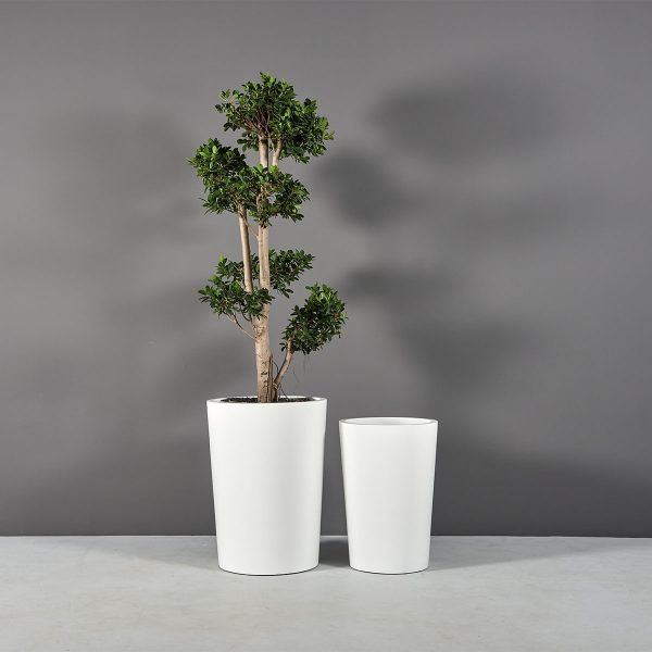 Tegel Tapered Round Planters - Jay Scotts | Plant Addicts