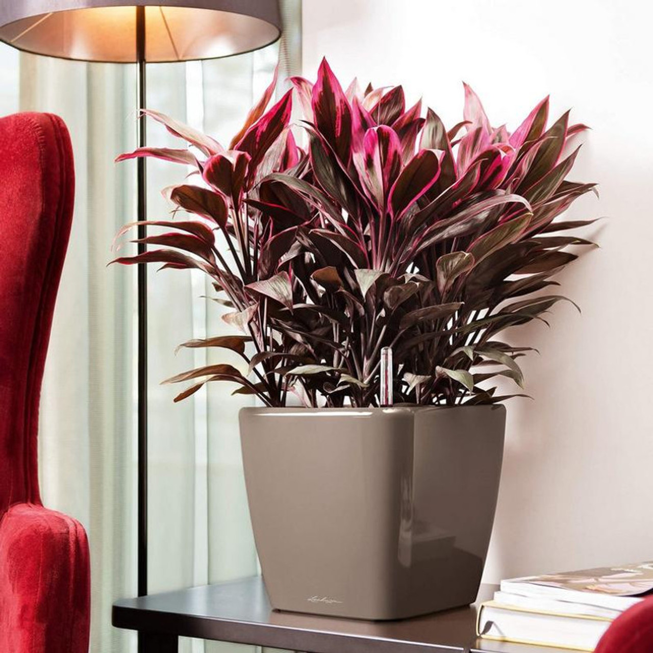 Quadro LS Square Planter - Lechuza | Plant Addicts