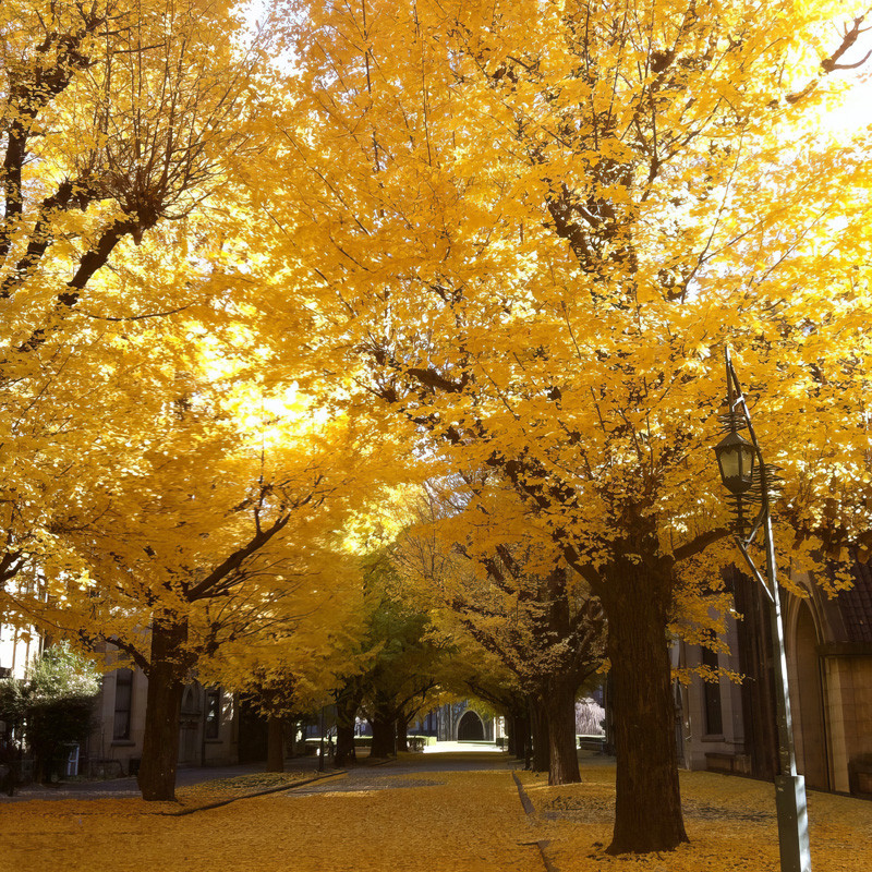 Ginkgo Biloba Guide: How to Grow & Care for Maidenhair Tree