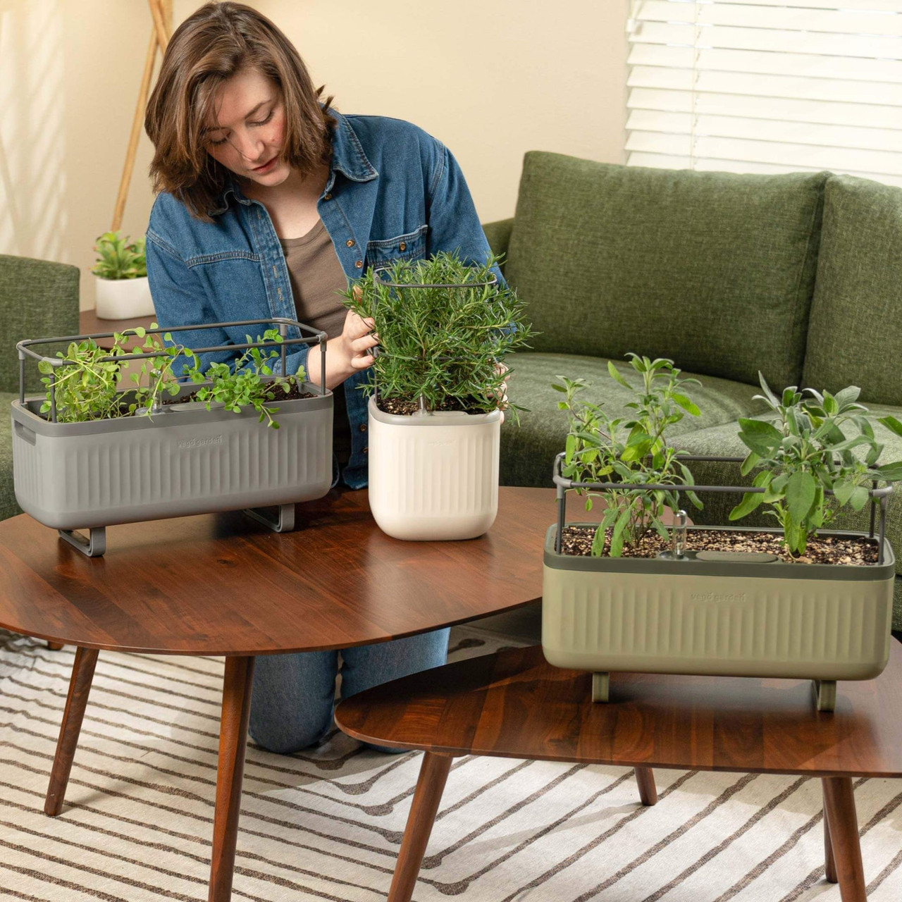 Self-Watering Mini Planter Pot with Trellis | Plant Addicts