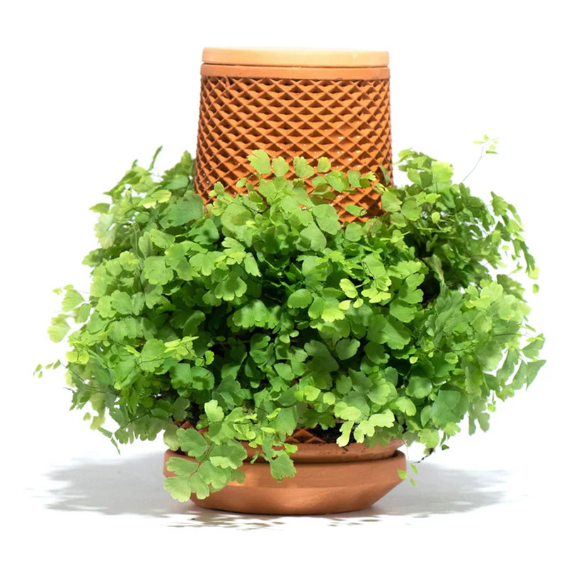Tevaplanter : Self Watering Planter | Plant Addicts