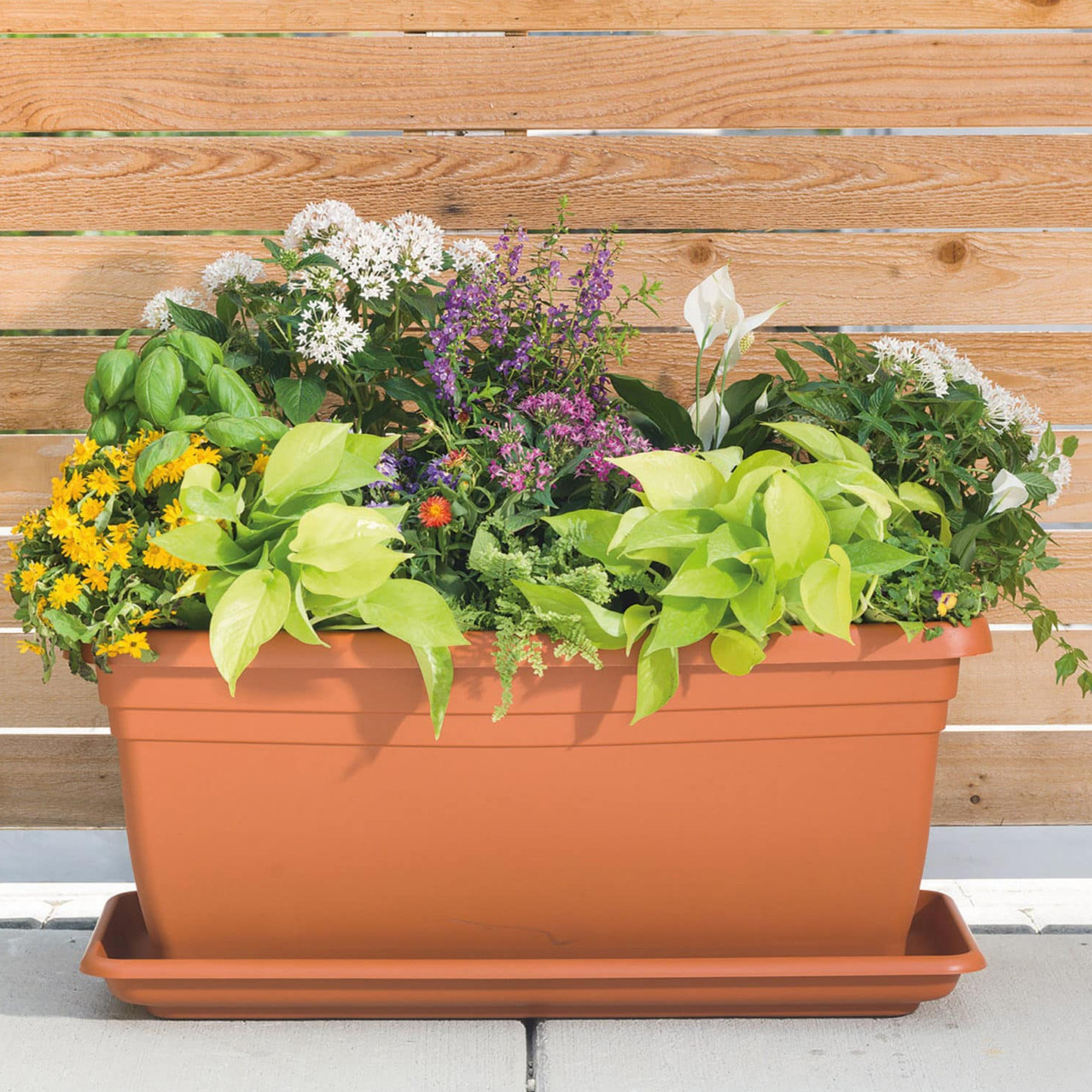 Dylan Rectangular Planter Saucer | Plant Addicts