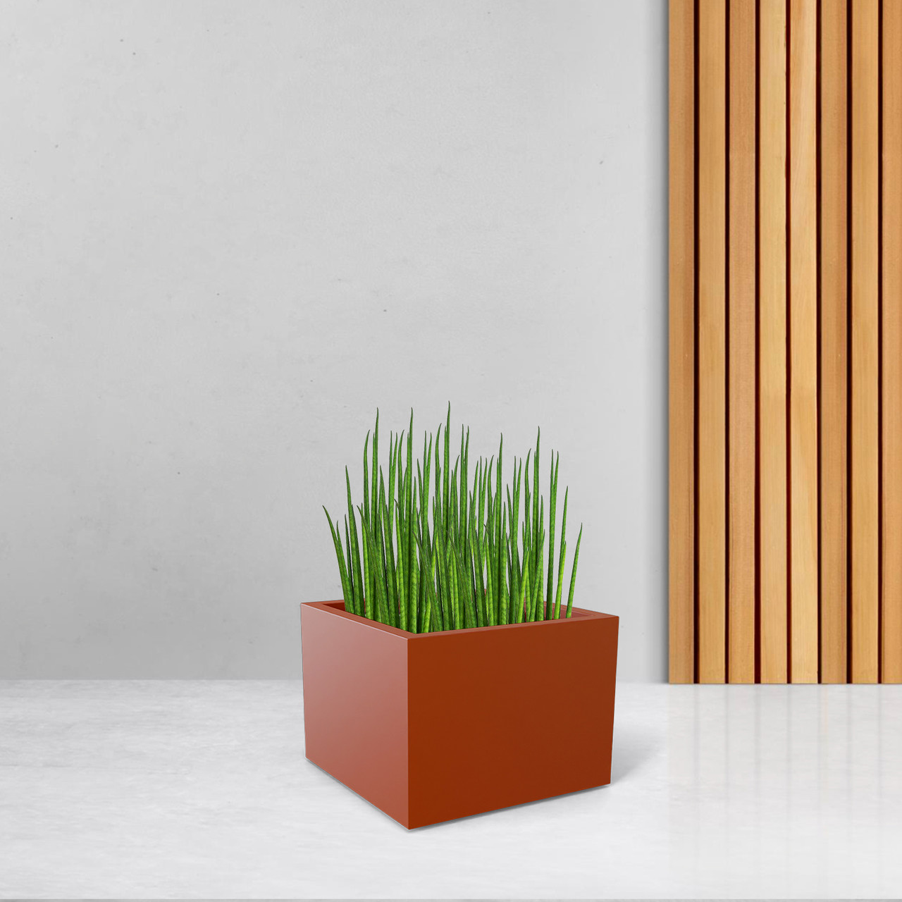 monstera moss pole Triple Layer Moss Pole – Urban Sprouts