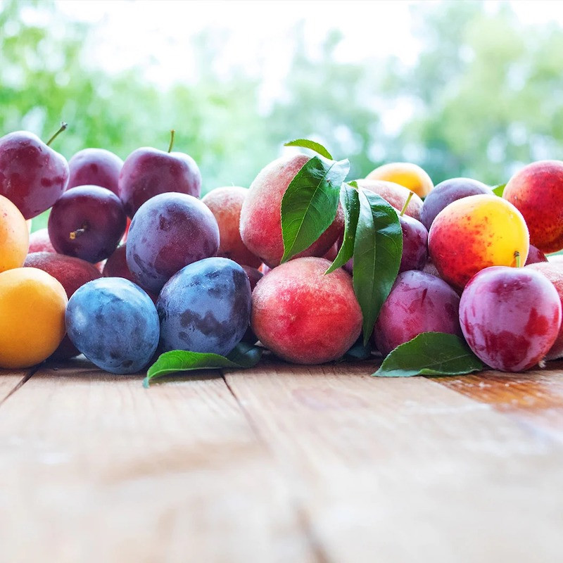 Fruit Cocktail Tree | Plant Addicts