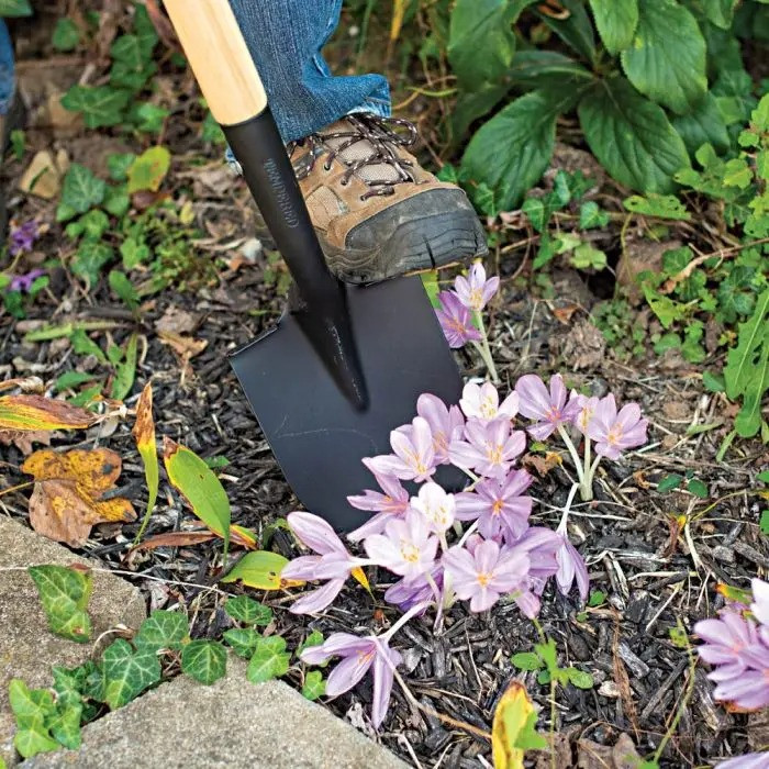 Floral Shovel with Straight Handle | Plant Addicts