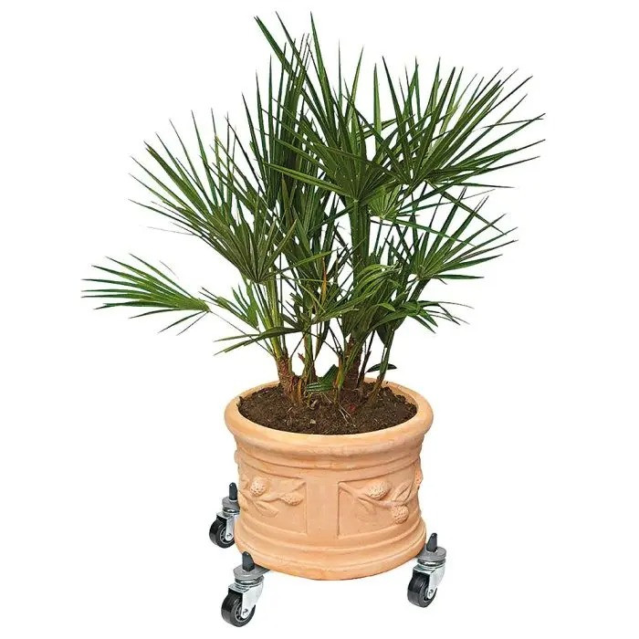 Wagner Plant Caddy - Thumbnail 3