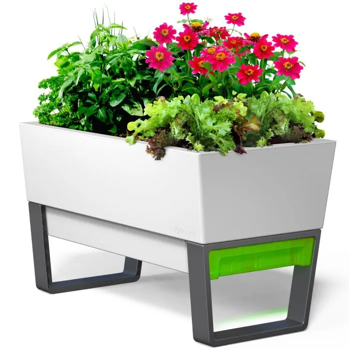 Glowpear Urban Garden Planter Box - Thumbnail 4