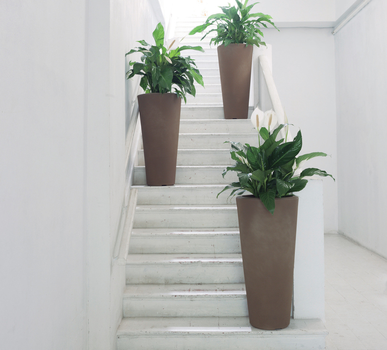 Large Indoor Planters, Modern Plant Pots and Containers at Wholesale Prices  - NewPro