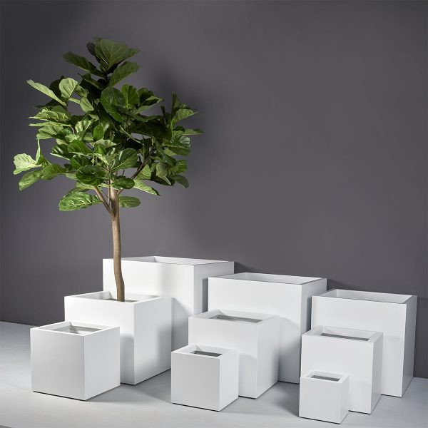 Montroy Cube Planters - Jay Scotts | Plant Addicts
