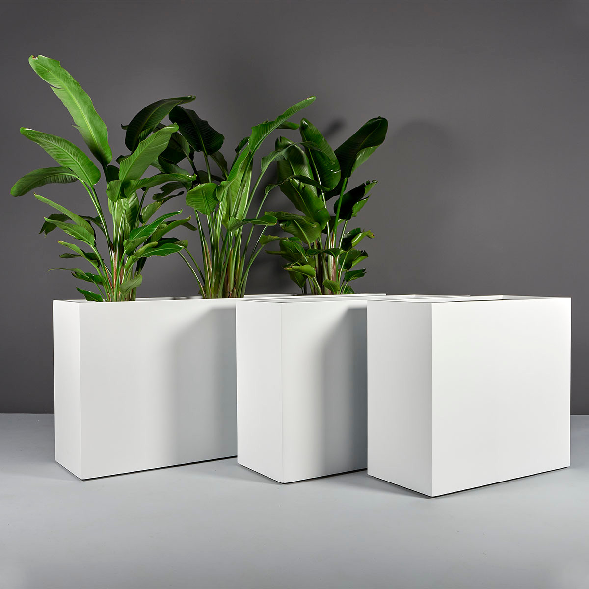 Potsdam Rectangular Planters - Jay Scotts | Plant Addicts