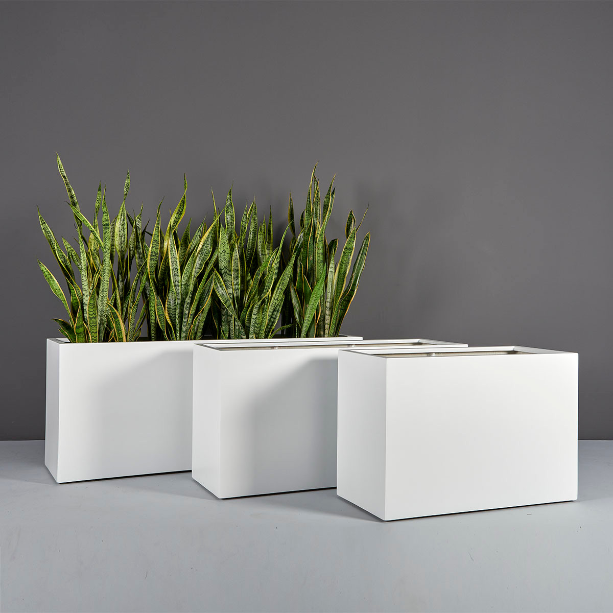 Tolga Rectangular Planters - Jay Scotts | Plant Addicts