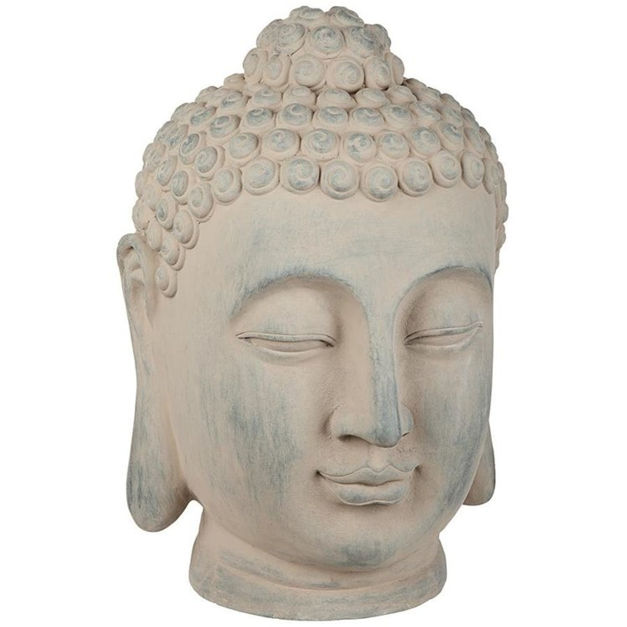 Spiritual Meditation Buddha Head | Plant Addicts