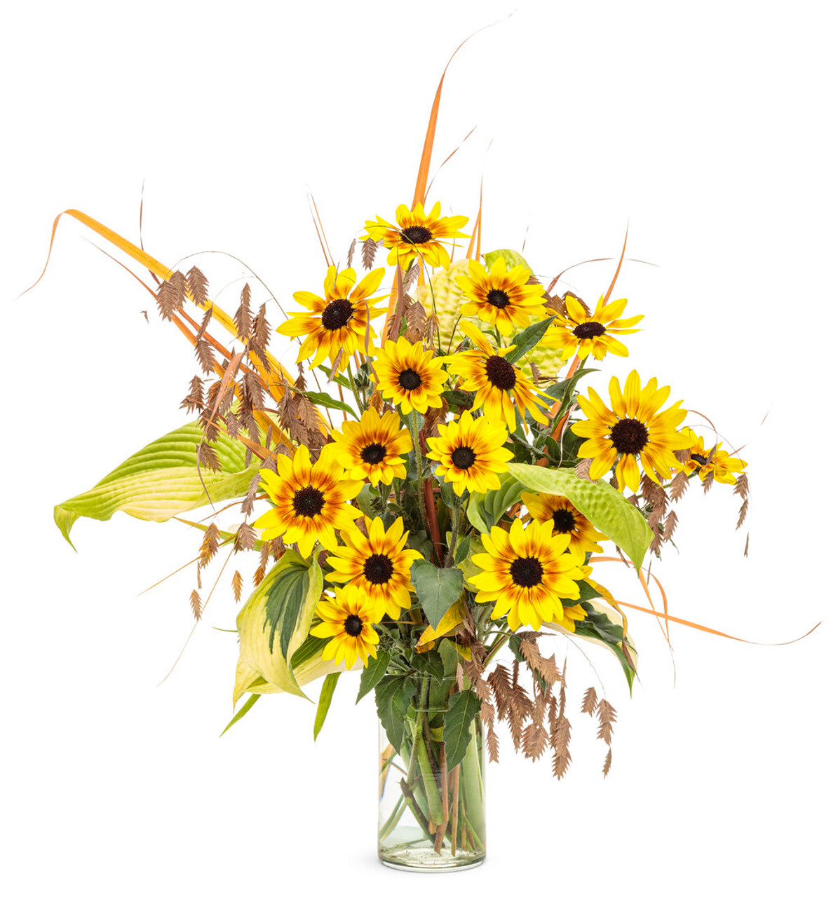 https://cdn11.bigcommerce.com/s-jmzfi5zcr2/images/stencil/1280x1280/products/4519/14430/Suncredible_Saturn_Sunflower_in_Cut_Flower_Arrangement__36062.1639249810.jpg?c=2