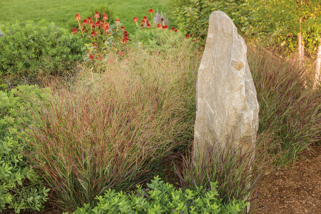 Prairie Winds Cheyenne Sky Red Switch Grass