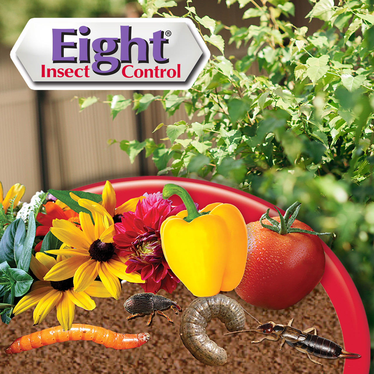 Bonide Eight Insect Control | Plant Addicts