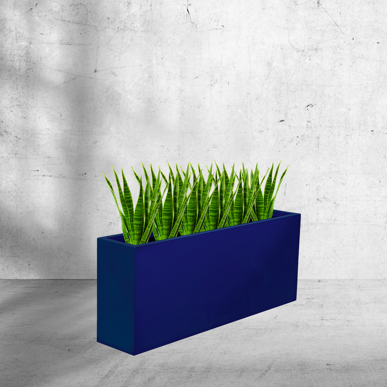Hollywood Rectangular Planters - Jay Scotts | Plant Addicts