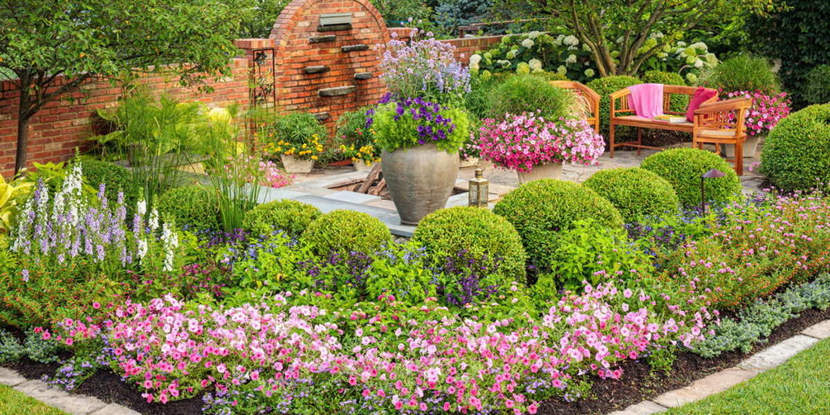 Shop All Different Kinds Of Plants Online