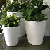 Dot Planters with plants