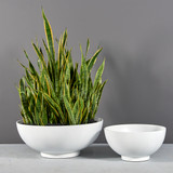 Marseille Bowl Planters with plants