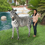 Life Size African Zebra Statue Adult