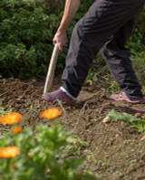 Planting Perennials & Shrubs In The Fall