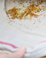 How to Harvest & Dry Seeds