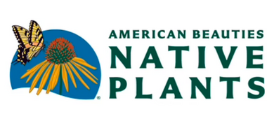American Beauties Native Plants