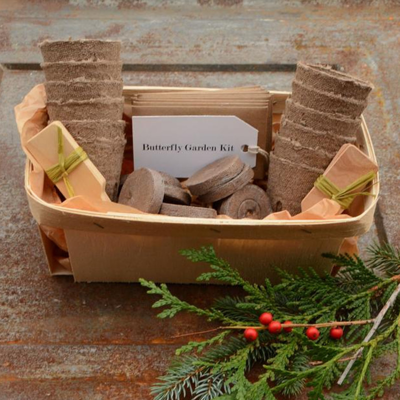 Butterfly Garden Gift Box Kit Plant Addicts