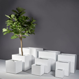 Montroy Cube Planters with Plants