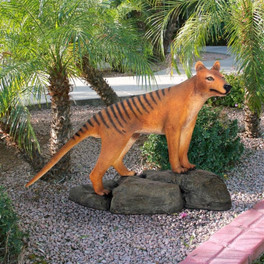 Mysterious Tasmanian Tiger Statue in the Garden
