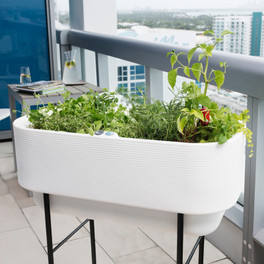 Nest Self-Watering Planter Up Close