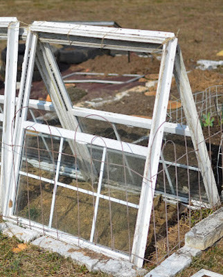 Create a DIY Cold Frame with Old Windows