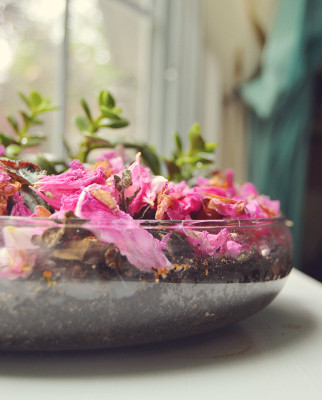 Using Peony Flowers As Mulch