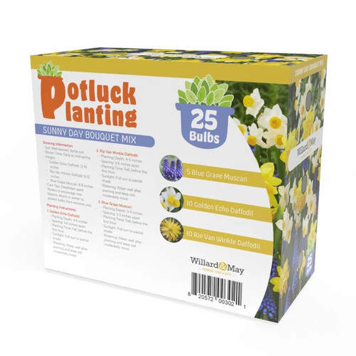 Potluck Planting Sunny Day Bouquet
