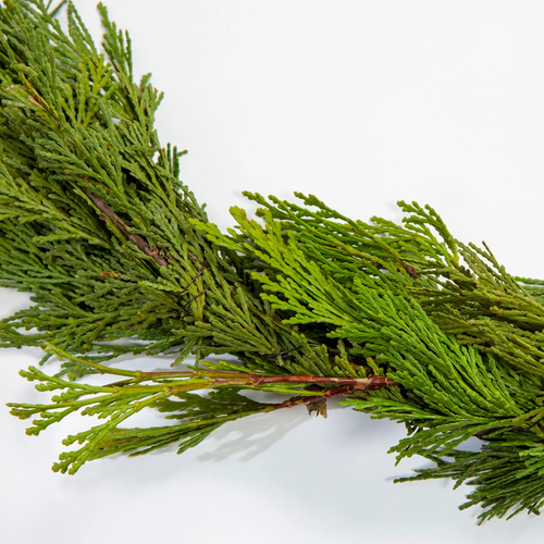 Cedar Garland Close-Up
