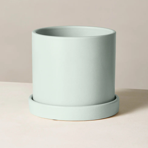 Hyde Planter Mint
