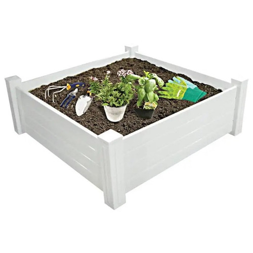 Basil plant in white raised bed.