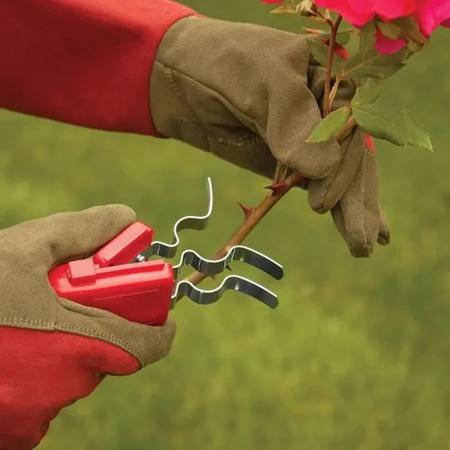 Thorn stripper removing leaves from stem